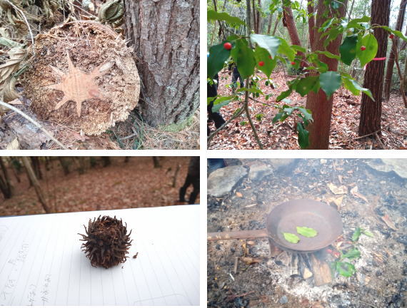 ほしはら山の学校 三次市 