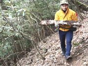 2026年 広島トレイル大会　コースの整備