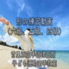 空手 形の練習用 DVD